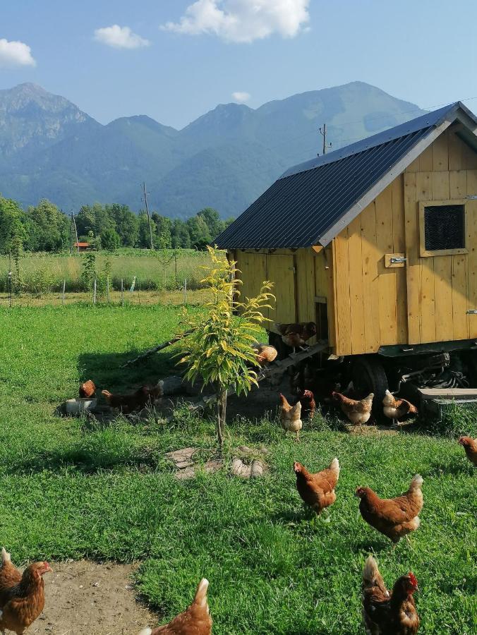Glamping Mohorjev Grunt Hotel Preddvor Buitenkant foto